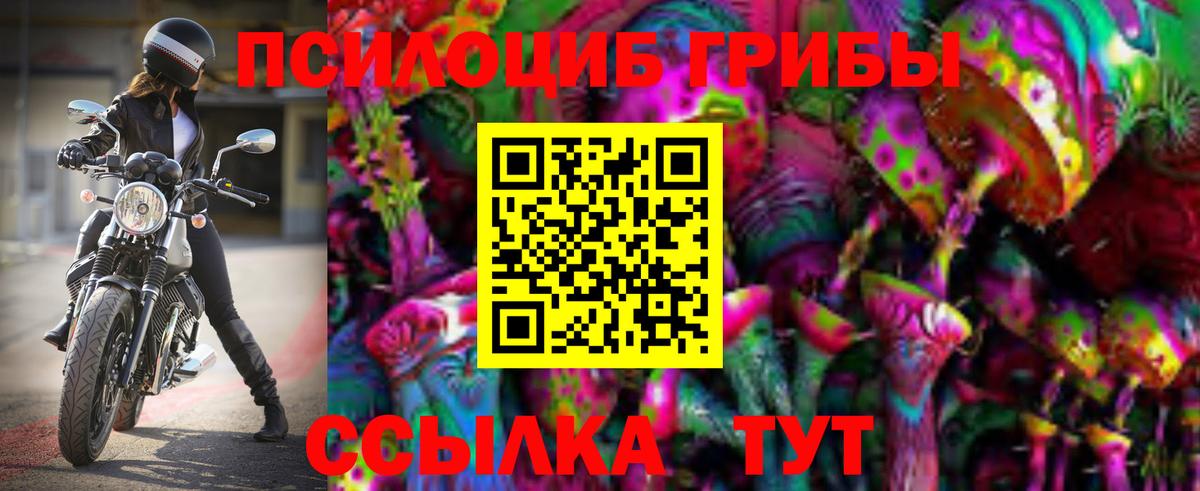 где купить наркотик  Псилоцибиновые грибы Psilocybe  Вход с VPN  Галлюциногенные грибы Cubensis  Узловая 